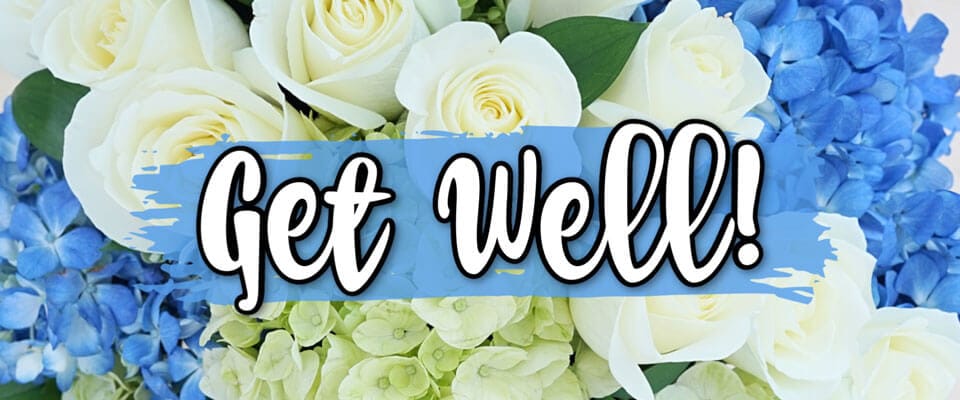 Flower Delivery to Cary by Blossom Shop